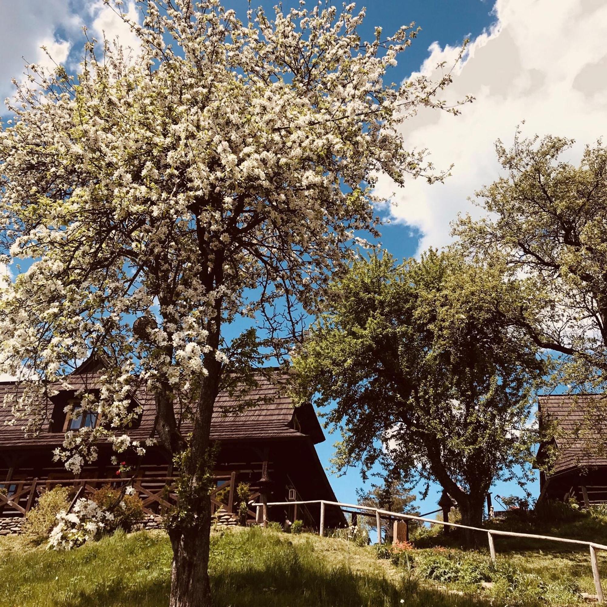 Maciejewka Zahoczewie Exterior foto