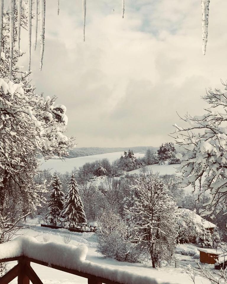 Maciejewka Zahoczewie Exterior foto