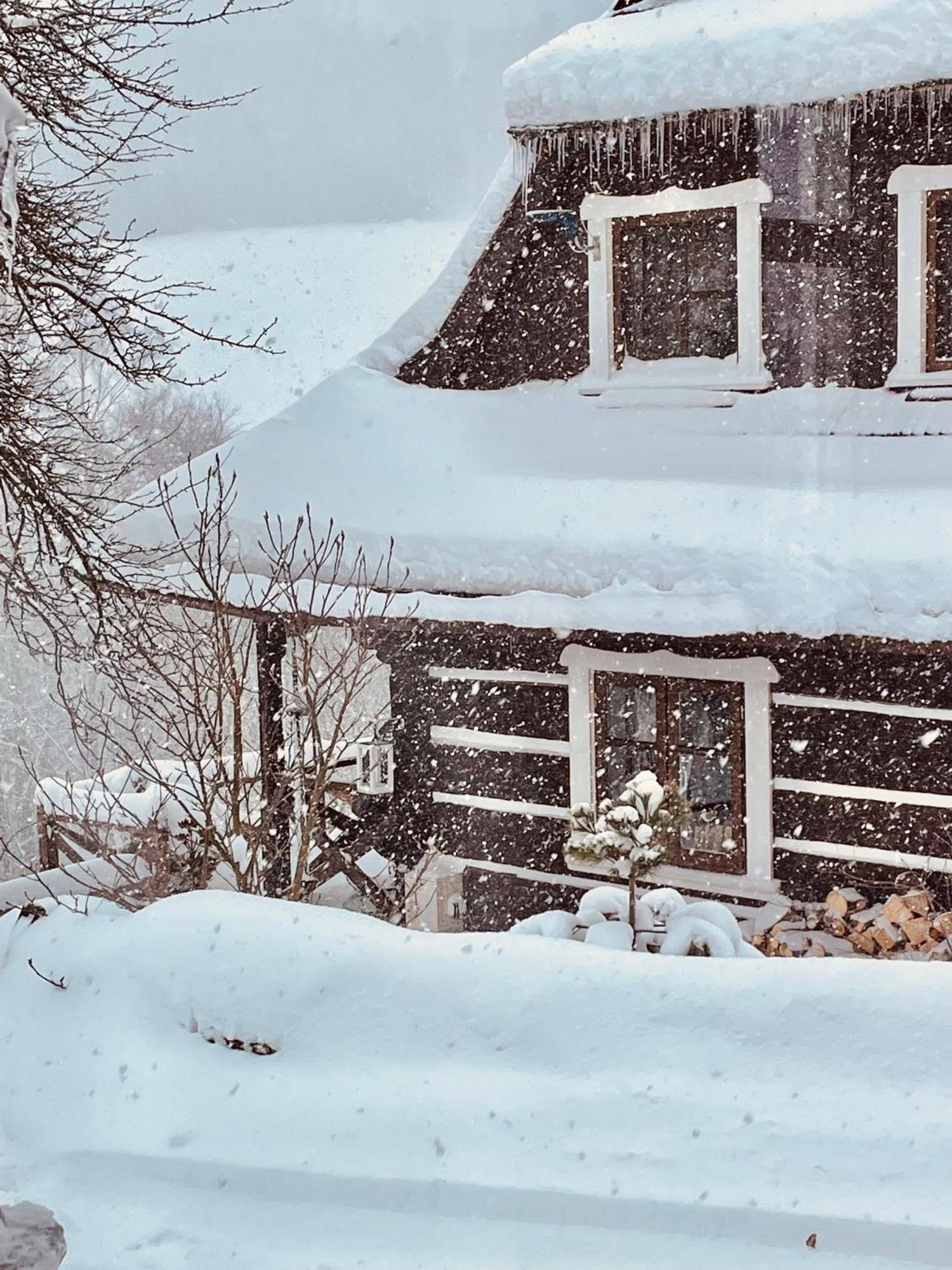 Maciejewka Zahoczewie Exterior foto