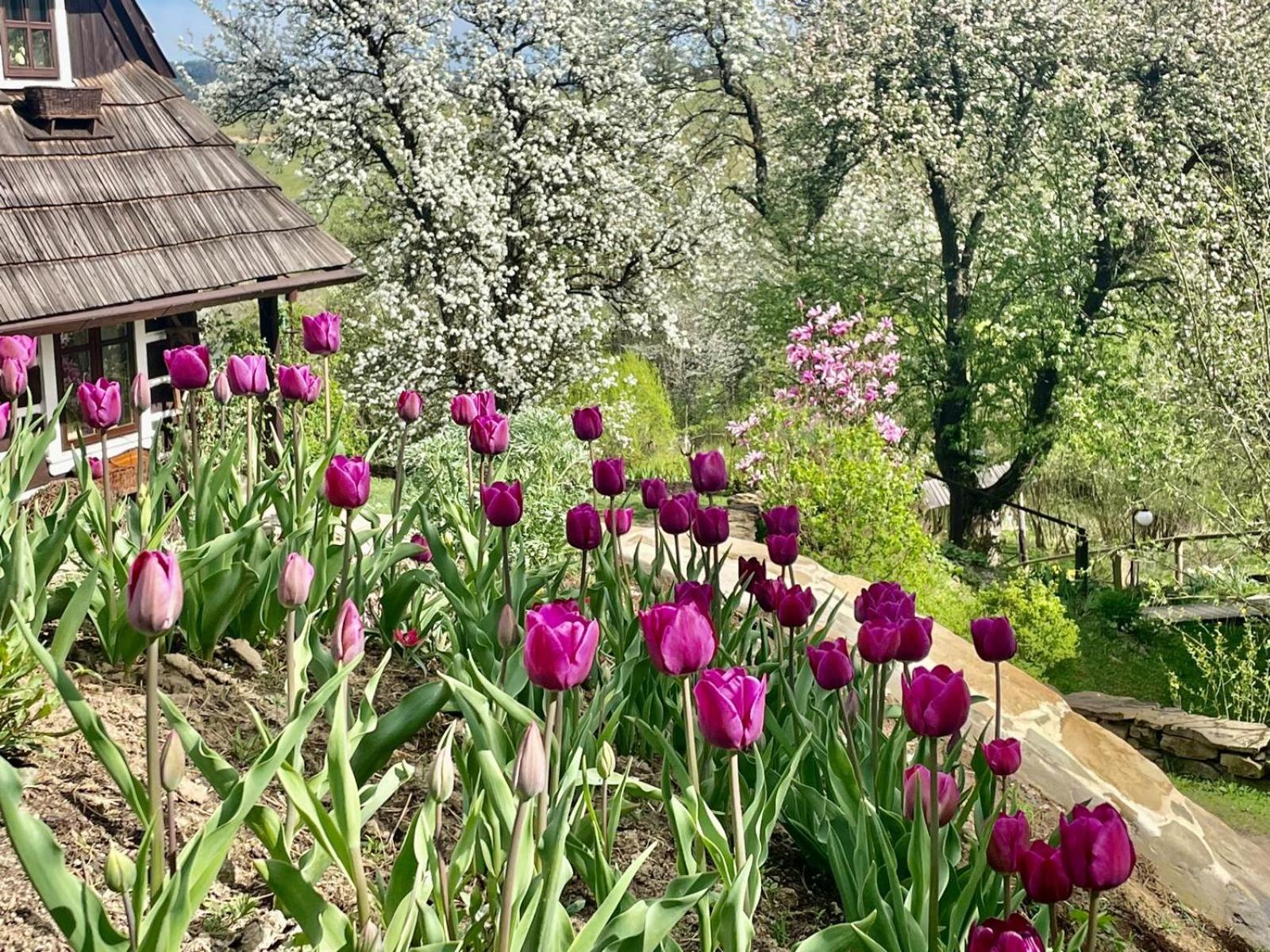 Maciejewka Zahoczewie Exterior foto